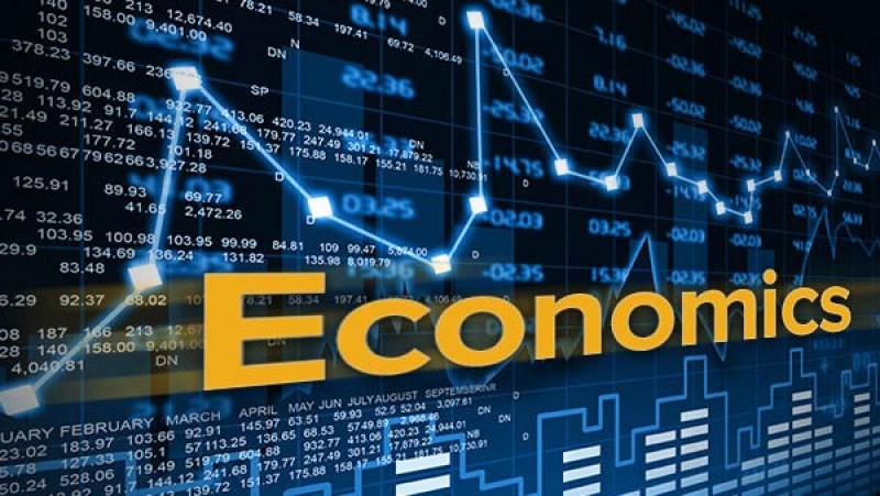 B.Ed. Economics Department